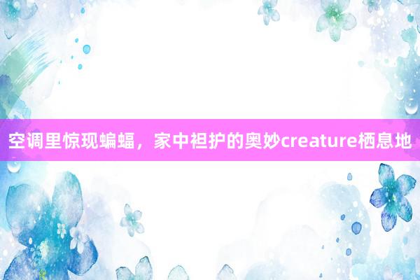 空调里惊现蝙蝠，家中袒护的奥妙creature栖息地